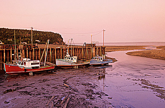 渔船,捆绑,码头,退潮,芬地湾,新布兰斯维克,加拿大