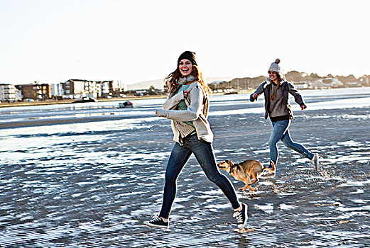 两个,女性朋友,跑,狗,海滩