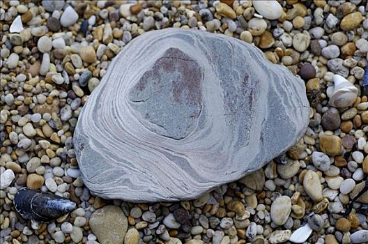 石头,鹅卵石,海滩,沙,南德文郡,英格兰