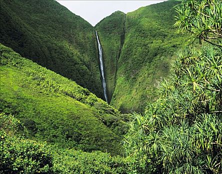 脚,瀑布,山谷,岛屿,莫洛凯岛,夏威夷