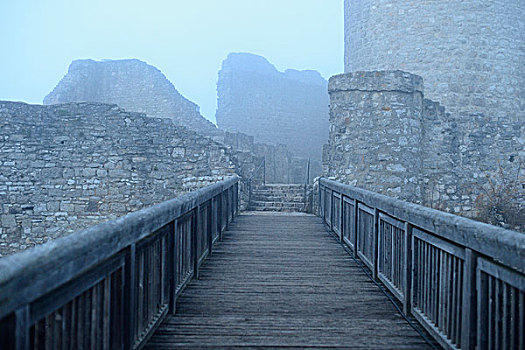 废墟,城堡,在雾,诺伊马克特,上普法尔茨,巴伐利亚,德国