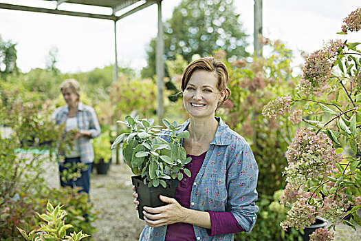 两个女人,工作,植物,房子,温室,有机农场
