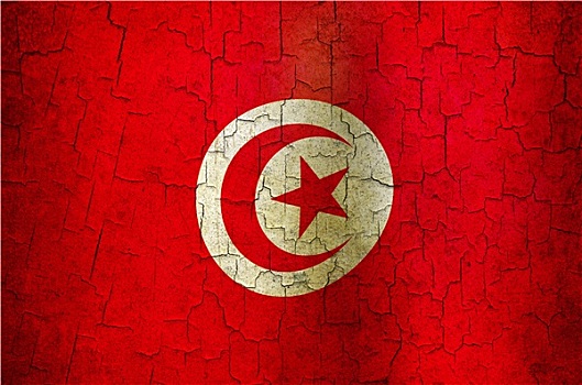 低劣,突尼斯,旗帜