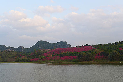 花花大世界