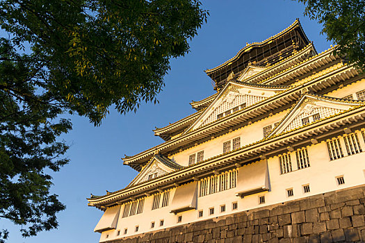 大阪城,风景