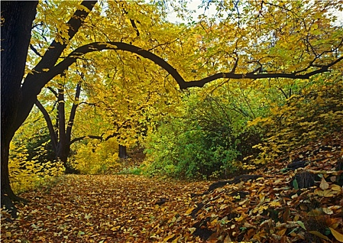 秋天,公园