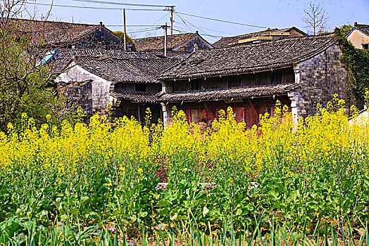 梯田,山村,春意