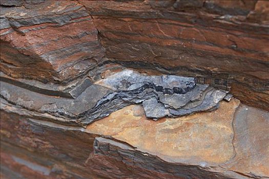蓝色,石棉,石头,峡谷,卡瑞吉尼国家公园,区域,西澳大利亚
