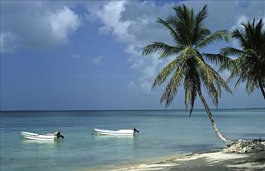 船,海滩,多米尼加共和国