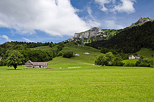 阿彭策尔,农场,山,靠近,罗得斯,瑞士,欧洲