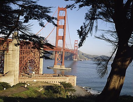 桥,湾,金门大桥,旧金山,加利福尼亚,美国