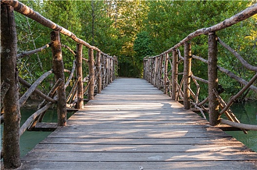 木桥,公园