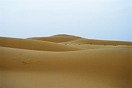 沙丘,撒哈拉沙漠,摩洛哥,风景