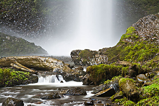 拉图来尔瀑布,溪流,哥伦比亚峡谷,俄勒冈,美国