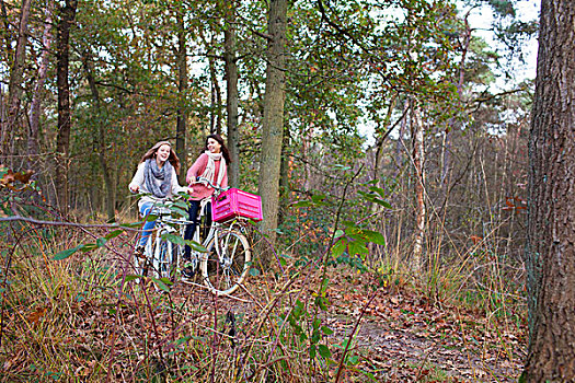 少女,树林,骑自行车,自行车,粉色,板条箱,联结