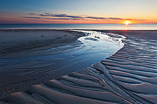 沙子,图案,日落,捆绑,溪流,岛屿,科德角,国家海岸,马萨诸塞
