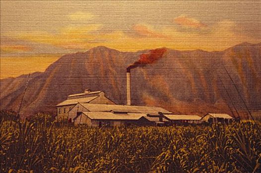 夏威夷,瓦胡岛,糖,工厂,烟,烟囱,远景,山脉,老式,明信片