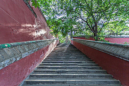 京西古刹戒台寺