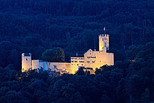 城堡,高处,瑞士,欧洲