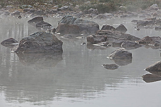 湖,水面,雾气,蒸腾,白雾,水蒸气,缥缈,仙境,灵性,家禽,鸭子,鹅,游动,自在,安静,自然,风光