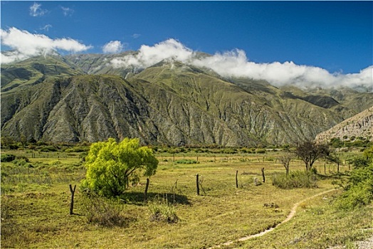 山,阿根廷