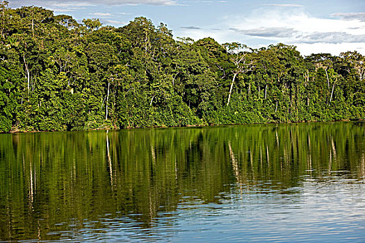 河,玛努国家公园,秘鲁