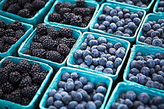 篮子,新鲜,蓝莓,黑莓,农民,市场