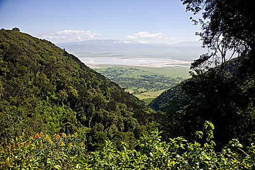 非洲,坦桑尼亚,风景,途中,室外,恩戈罗恩戈罗火山口,恩戈罗恩戈罗,保护区