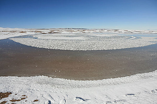 可可西里卓乃湖上冰冻的冰花