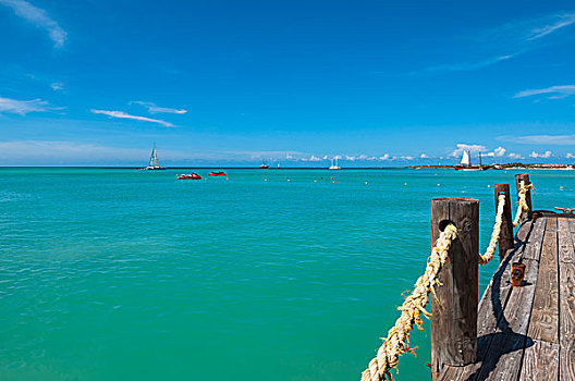 鹈鹕,码头,海洋,棕榈海滩,阿鲁巴,小安的列斯群岛,加勒比