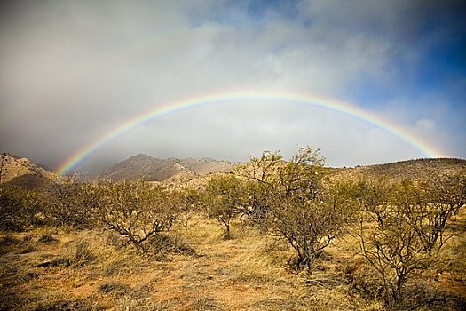 彩虹,上方,洞穴,州立公园,图森,亚利桑那,美国