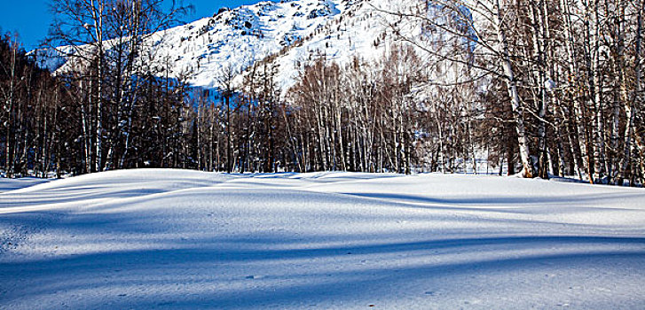 新疆喀纳斯禾木美丽峰雪景