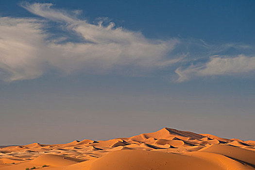 摩洛哥,沙丘,靠近,梅如卡,撒哈拉沙漠,却比沙丘,区域
