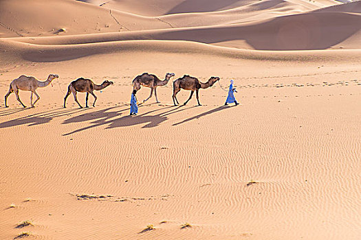 摩洛哥,撒哈拉,沙丘,40岁,宽,使用,只有