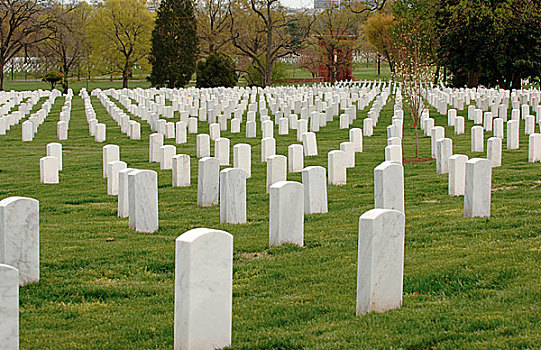 墓石,阿灵顿国家公墓,华盛顿特区