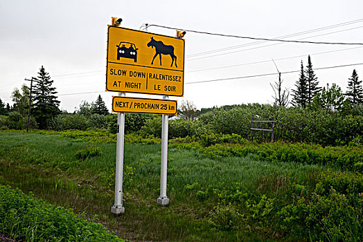 警告标识,农场,港口,新布兰斯维克,加拿大