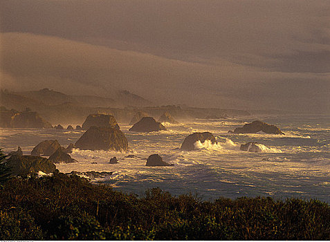 岩石,海岸线,加利福尼亚,美国