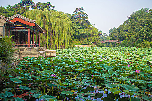 颐和园