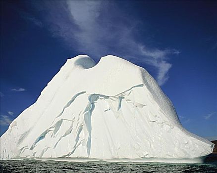 冰山,纽芬兰,拉布拉多犬,加拿大