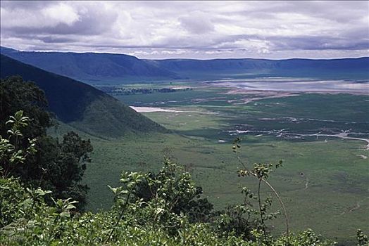 恩戈罗恩戈罗火山口,恩格罗恩格罗,保护区,坦桑尼亚