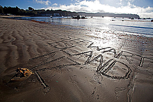 新西兰,南岛,斯图尔特岛,喜爱,书写,大,沙子,一个,岛屿,质朴,海滩