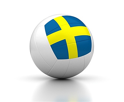 瑞典,排球,团队