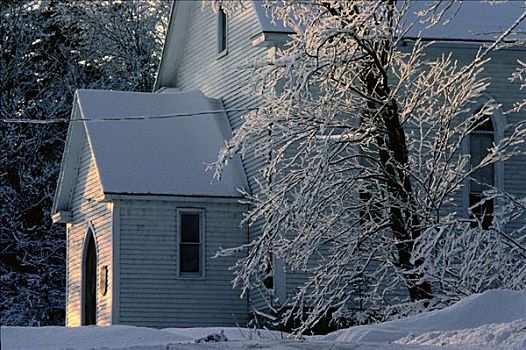 教堂,冬天,新布兰斯维克,加拿大