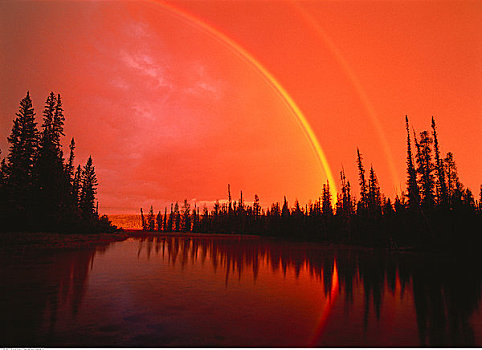 彩虹,上方,湖,树,伍德布法罗国家公园,艾伯塔省,加拿大