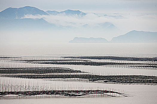 海水养殖