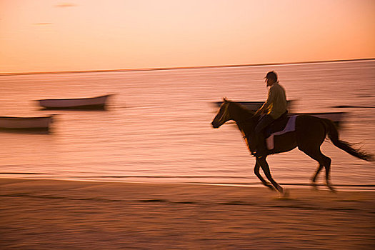 骑手,日出,母马,东南部,毛里求斯,非洲