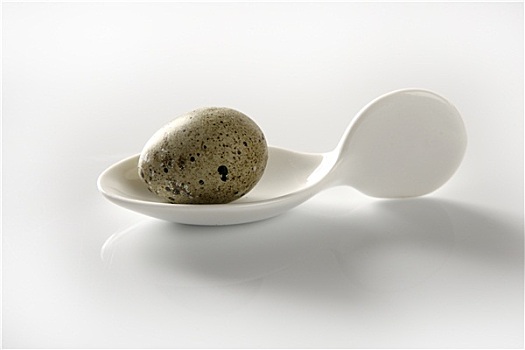 鹌鹑蛋,陶瓷,白色,勺子