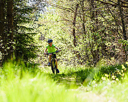 男孩,骑自行车,树林