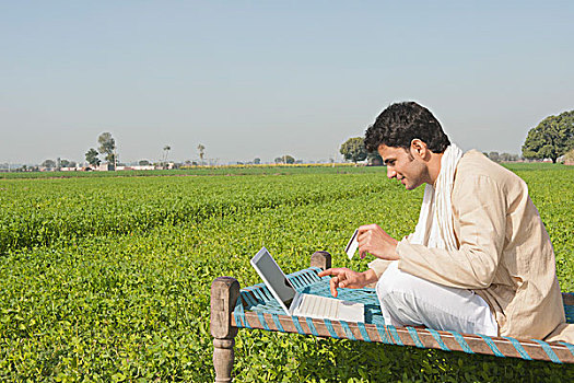 农民,笔记本电脑,拿着,信用卡,土地,印度