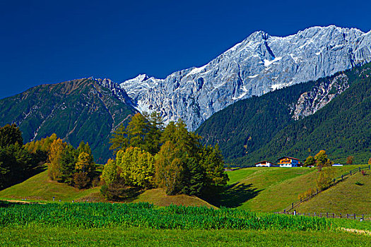 阿尔卑斯山,奥地利